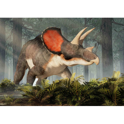 3D pohlednice Triceratops
