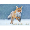 3D pohľadnica Running fox (Red fox, Líška hrdzavá)
