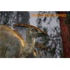 3D pohľadnica Parasaurolophus