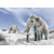 3D postcard Mammuthus primigenius (Woolly mammoth)