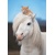 3D postcard Pony & Kitty