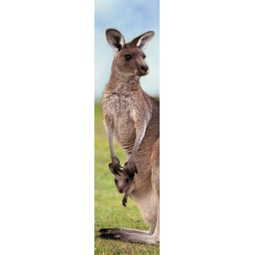 3D bookmark Kangaroo
