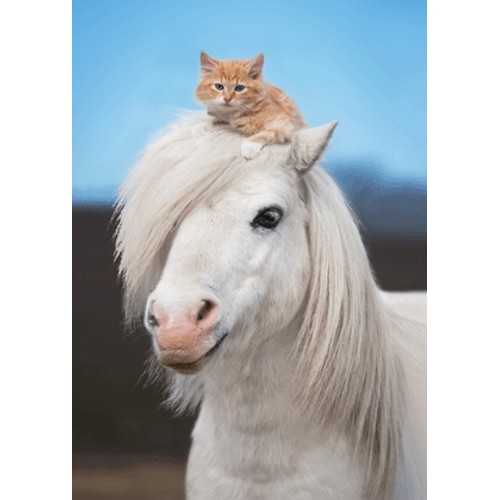 3D pohľadnica Pony & Kitty