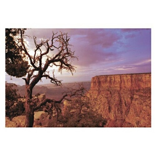pohlednice Grand Canyon I