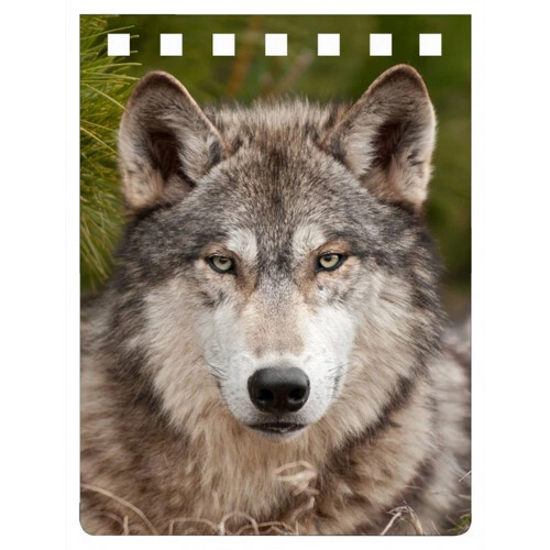 A7 notebook WOLF (poznámkový blok Vlk) (Vlk)