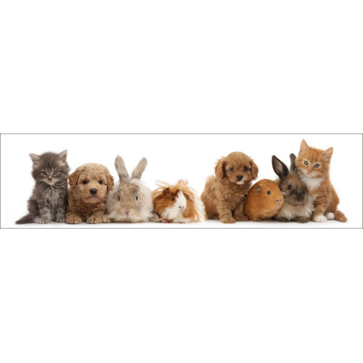 3D bookmark Pet shop gang