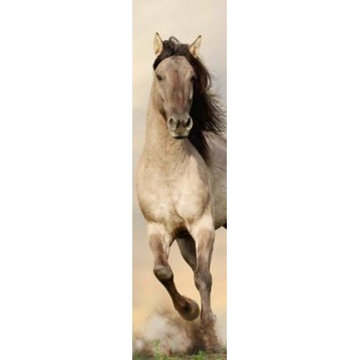 3D záložka Stallion (Žrebec, kôň)