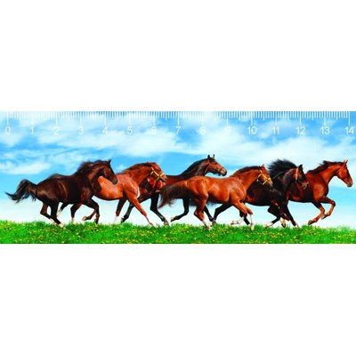 3D ruler DEEP Horses in green field