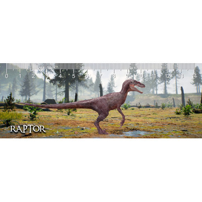 3D ruler DEEP Raptor