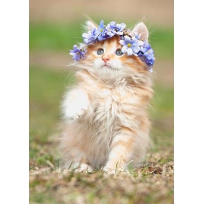 3D pohlednice Wreath Kitten