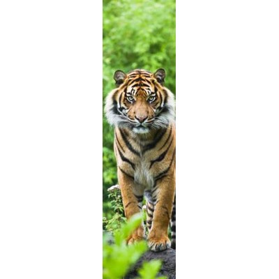 3D záložka Tiger
