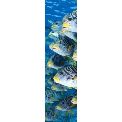3D bookmark Sweetlips (Fish)