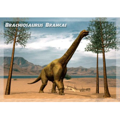 3D pohlednice Brachiosaurus