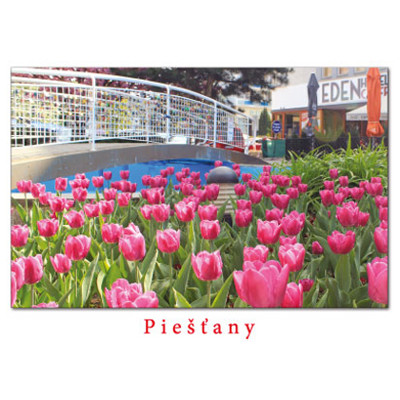 postcard Piešťany L (flowers)