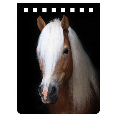 A7 notebook HAFLINGER (poznámkový blok Kôň) (Kôň)