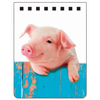 A7 notebook HANGING ON (Little pig) (Little pig)
