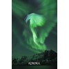3D pohlednice Aurora