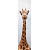3D záložka Long neck (Žirafa)