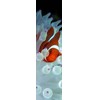 3D bookmark Clownfish (Nemo)