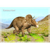 3D postcard Triceratops D