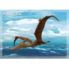 3D pohlednice Pteranodon D