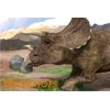 3D pohľadnica Triceratops