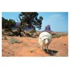 postcard Monument Valley