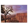 postcard Grand Canyon I