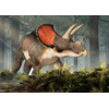 3D postcard Triceratops