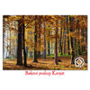 pohlednice Bukové pralesy Karpát LS17