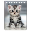 A7 notebook SHORT HAIR (Kitten) (Kitten)
