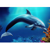3D pohlednice Coral Dolphin AI (Korálový delfín)