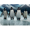 3D pohľadnica Four Penguins AI (Tučniaci)