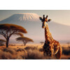 3D pohlednice Mighty giraffe AI