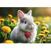 3D pohlednice Rabbit red heart AI (Zajíček)
