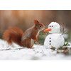 3D pohlednice Squirrel & Snowman (Veverka a sněhulák)