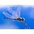 3D pohľadnica Dragonfly (Vážka)