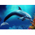 3D postcard Coral Dolphin AI