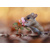 3D pohlednice Flower mouse