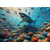 3D postcard Coral Shark AI